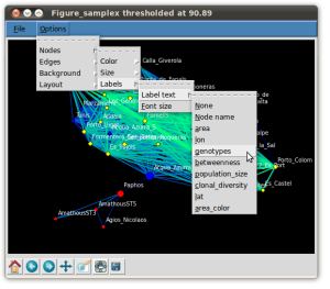 netimagewindow